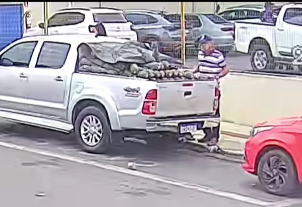 Motorista do INCRA é flagrado furtando abacaxis de caminhonete em Araguaína