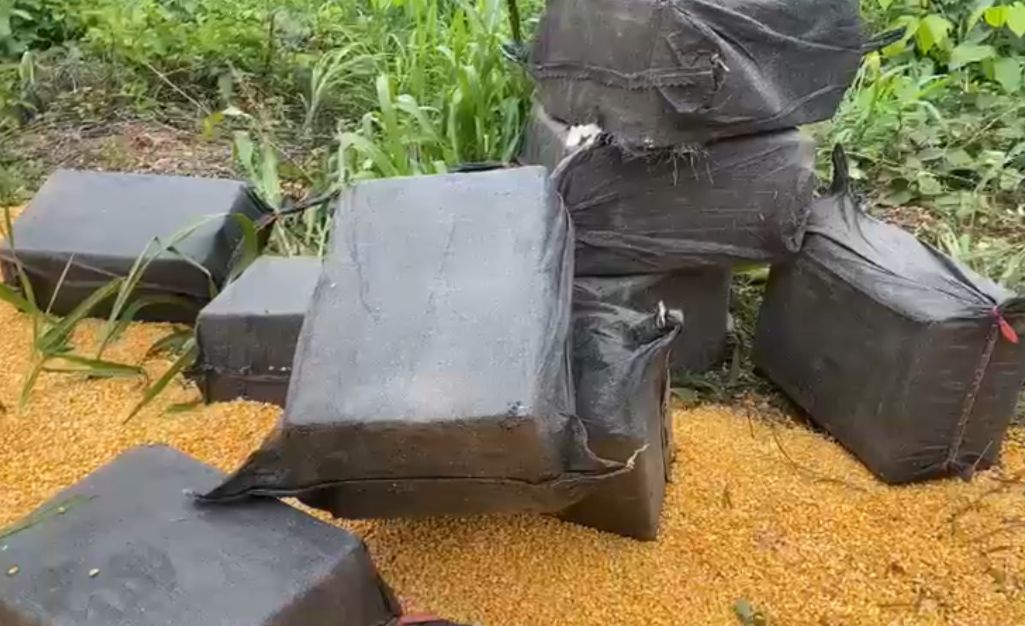 Quase de 500 kg de cocaína escondidos em carga de milho são apreendidos em Araguaína; mulher é presa em ação da PRF e PF